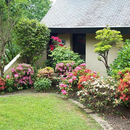 Jardin Des Chats Sévignacq-Meyracq Buitenkant foto