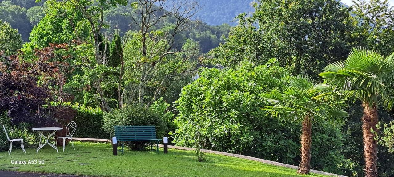 Jardin Des Chats Sévignacq-Meyracq Buitenkant foto
